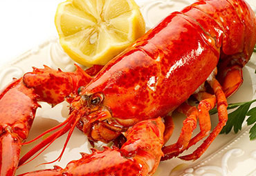 Sahanda Sucuklu Yumurta